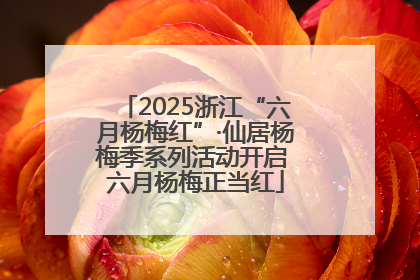 2025浙江“六月杨梅红”·仙居杨梅季系列活动开启 六月杨梅正当红